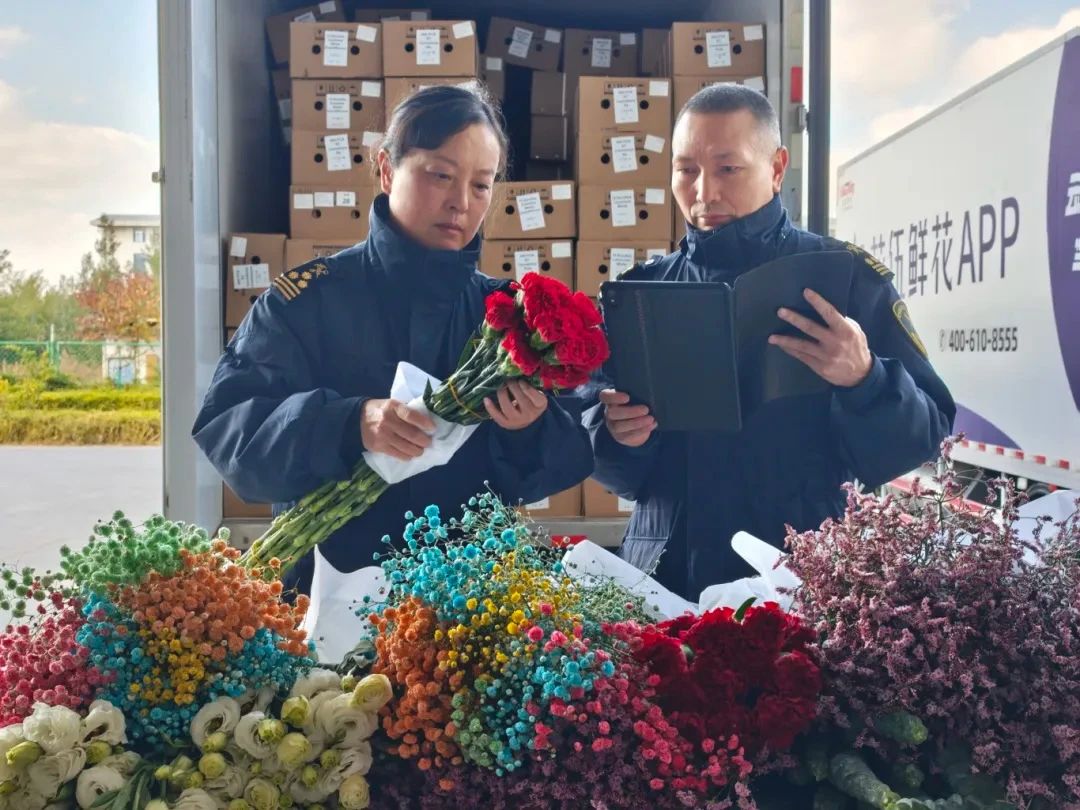 花伍动态封面