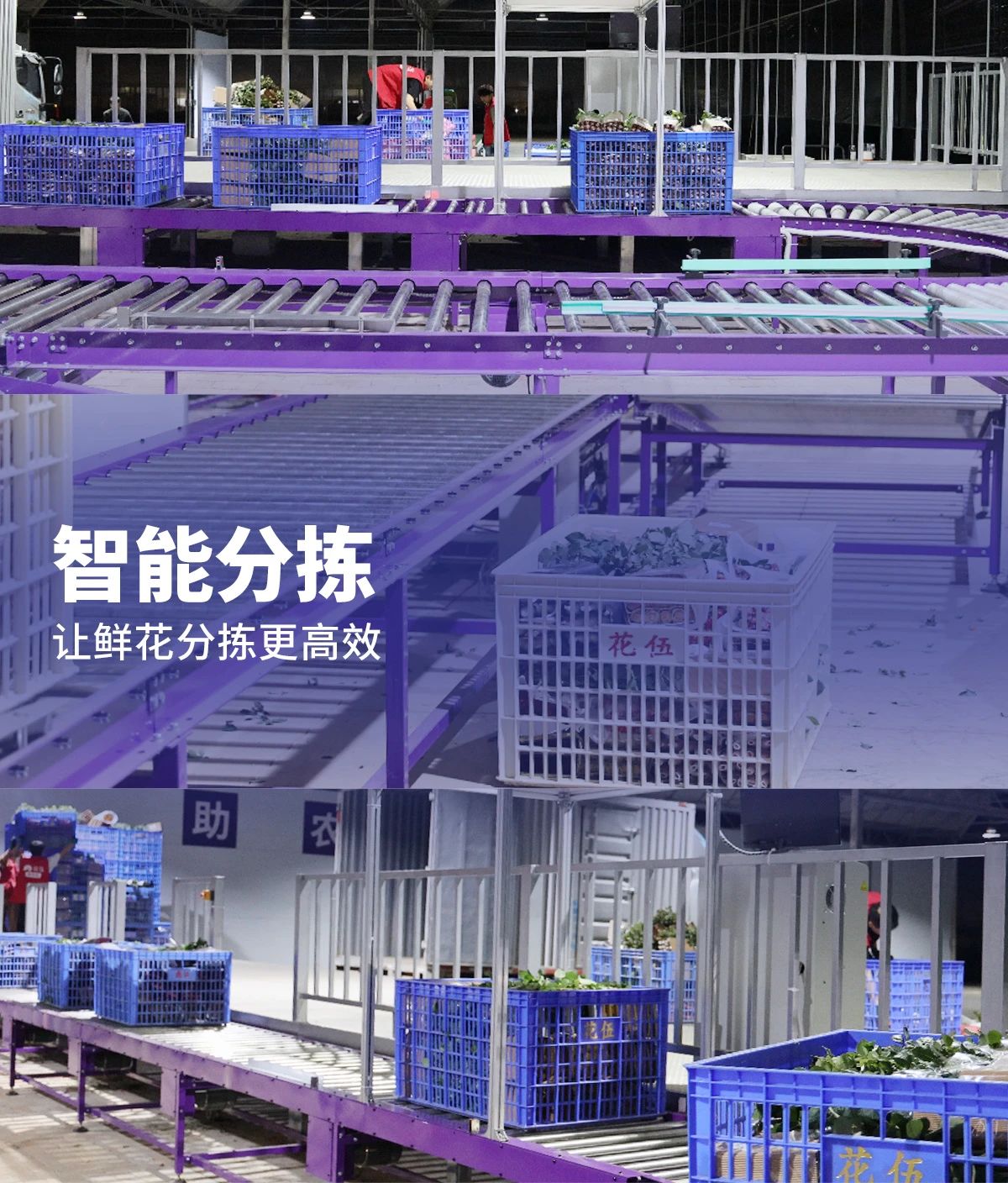 花伍动态封面