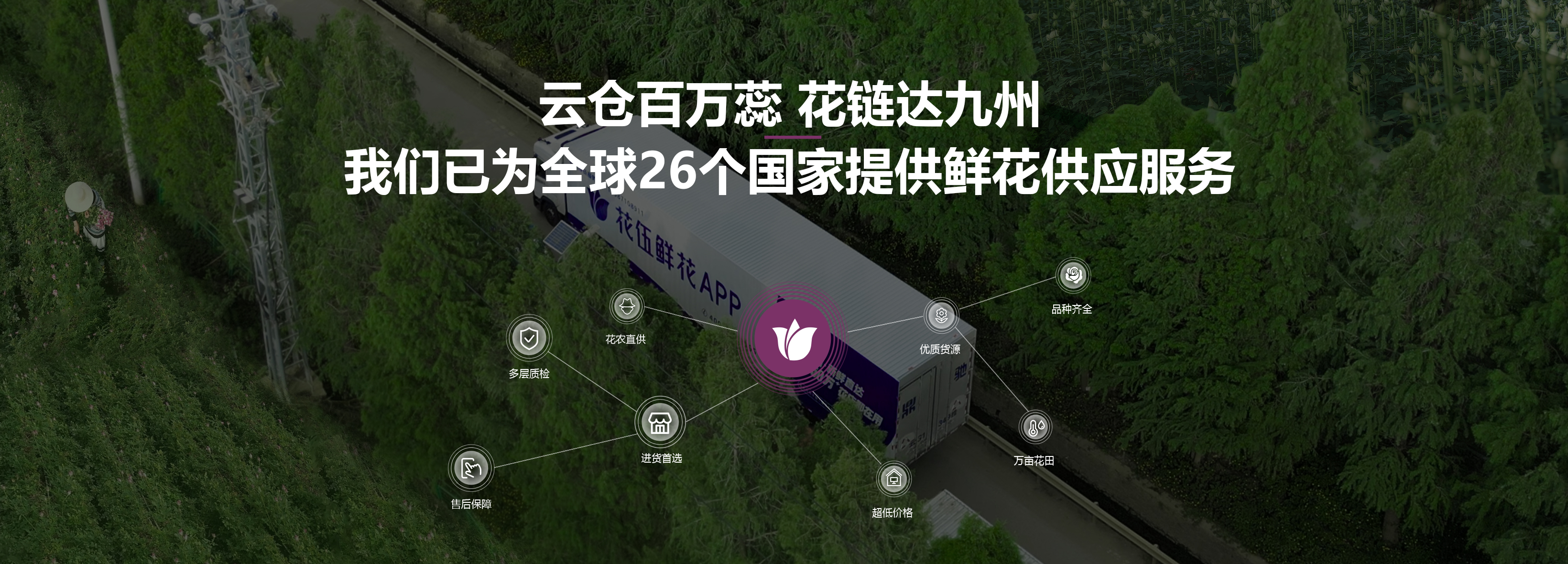 首页banner