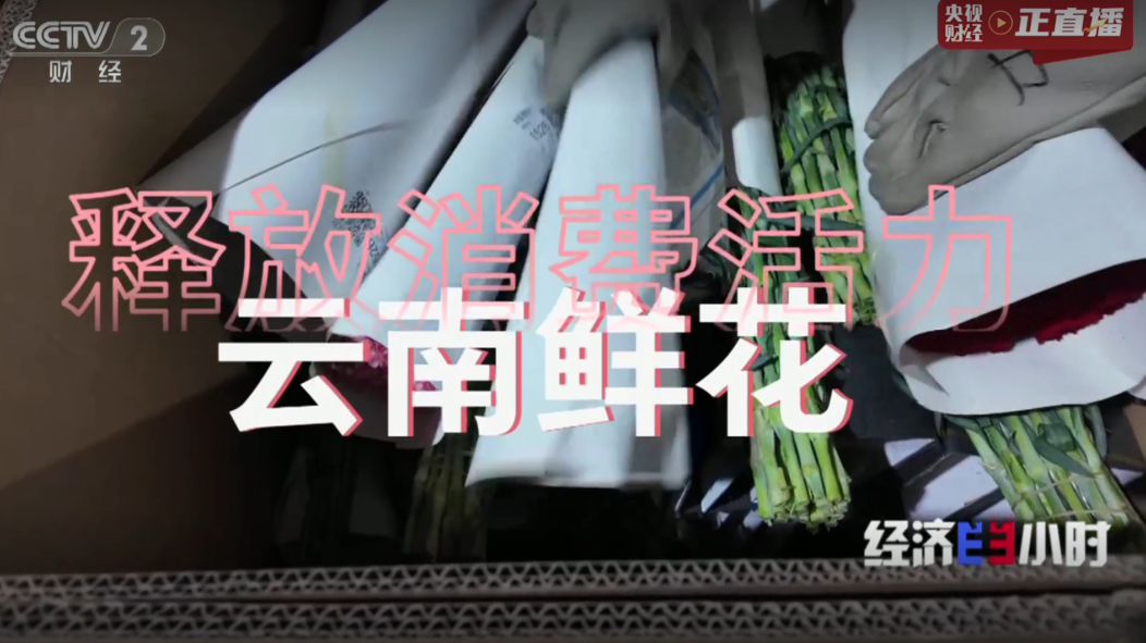 花伍动态封面